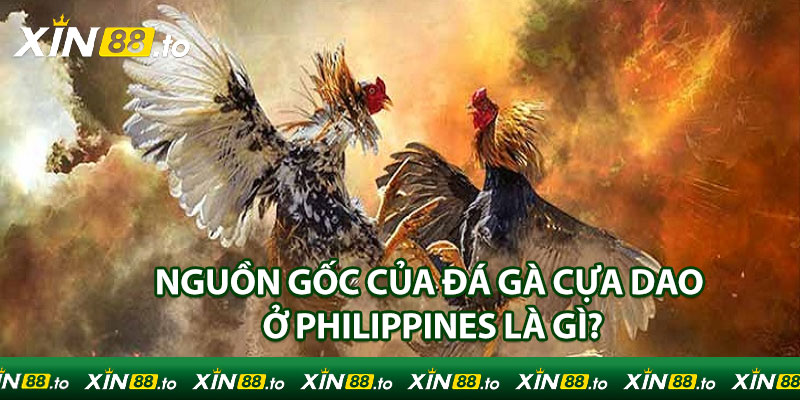 Nguồn gốc của đá gà cựa dao ở Philippines là gì?