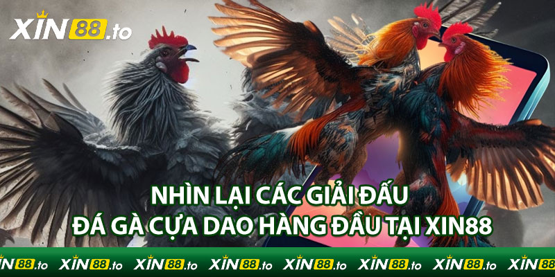 Nhìn lại các giải đấu đá gà cựa dao hàng đầu tại Xin88