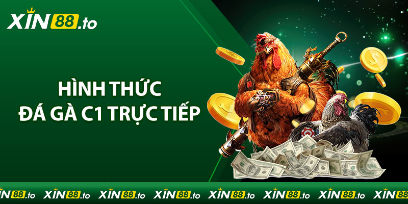 Những hình thức đá gà C1 trực tiếp hấp dẫn nhất